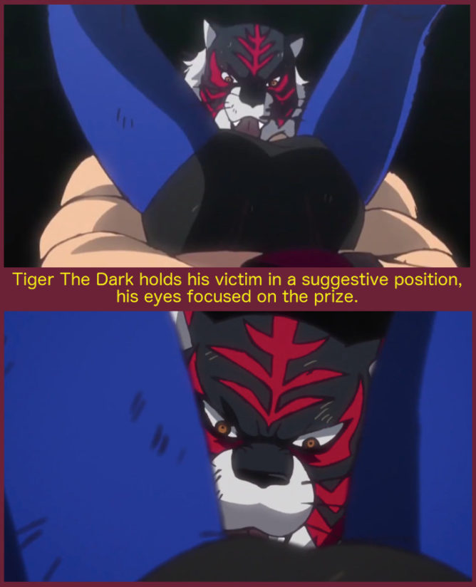 2Tigers8