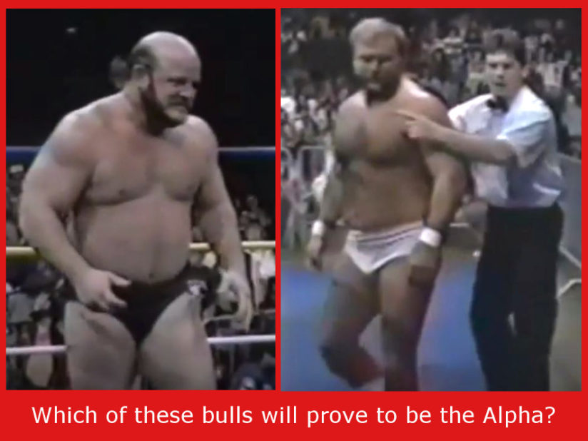 1bulls