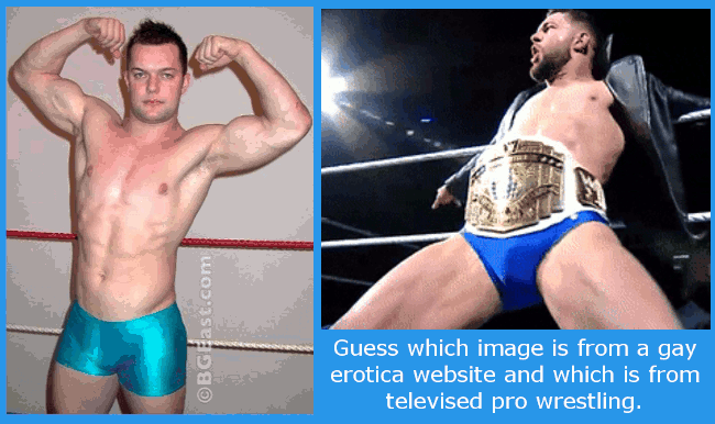 Wrestlers Who Have Done Porn